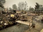A charred bench at a park where a wildfire burned.