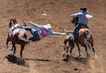 Steer wrestler Braedyn White, from Dayton, Washington, dives to catch a calf.