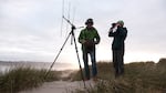 Every morning, field technicians drive along the coast, recording the presence and location of the murrelets they've tagged out on the ocean. Once a bird starts going missing from the ocean every other day, they assume it has started to nest and start searching for it in the forests.