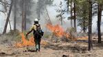 In this photo dated May 4, 2024, a Union hotshot watches the effects of a firing operation on the Little Yamsay Fire in Klamath County, Ore. Crews are managing the naturally occurring fire for forest health and fuels reduction.