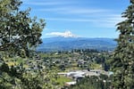 A shaded fuel break will help protect White Salmon, Washington, and surrounding areas from wildfires. The fuel break will also improve forest health and habitat.
