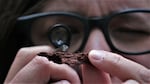 Kelly Brenner examines slimes molds up close with a magnifying lens. Their stalks are thinner than a strand of hair.