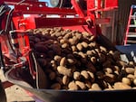 Potatoes, fresh from the field, bump onto a belt before being transferred to a storage shed outside of Boardman, Ore.