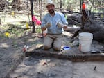 Southern Oregon University's Keoni Diacamos at work on July 21 excavating the site of a home in the vanished company town that once surrounded the Baker White Pine Mill.