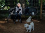 Anne Elledge watches her two dogs, Sammie and Katie, at the dog park downtown on May 20, 2026 in Portland, Ore.