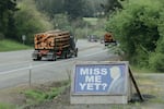Logging trucks pass a Trump sign reading, "Miss Me Yet?" outside of Coquille.