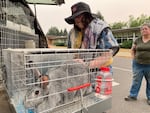 Shane Cooper pets a rabbit in a cage in the parking lot at Judson Middle School in South Salem after she and her family took their animals and evacuated their farm due to a spreading nearby grass fire.