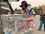 Shane Cooper pets a rabbit in a cage in the parking lot at Judson Middle School in South Salem after she and her family took their animals and evacuated their farm due to a spreading nearby grass fire.