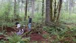 WOU students work to uncover a buried pig deep in the forest of Oregon's Coast Range.