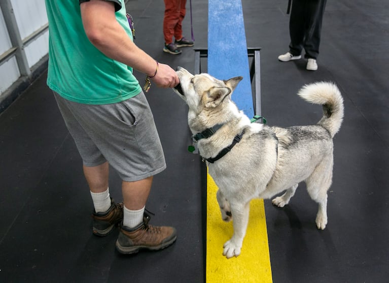 Oregon program helps incarcerated youth and adoptable dogs alike. It s called Project POOCH OPB