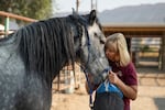Cindy Day kisses Moses, a wild mustang she adopted, on the muzzle. Moses is gray with a black mane, one lock of which is braided.