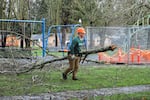 A worker cleans up storm debris at Meadow Park in Springfield.