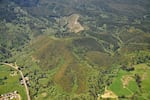 Aerial surveys show the fungal disease Swiss needle cast is now infecting more than four times the forestland it did 20 years ago.