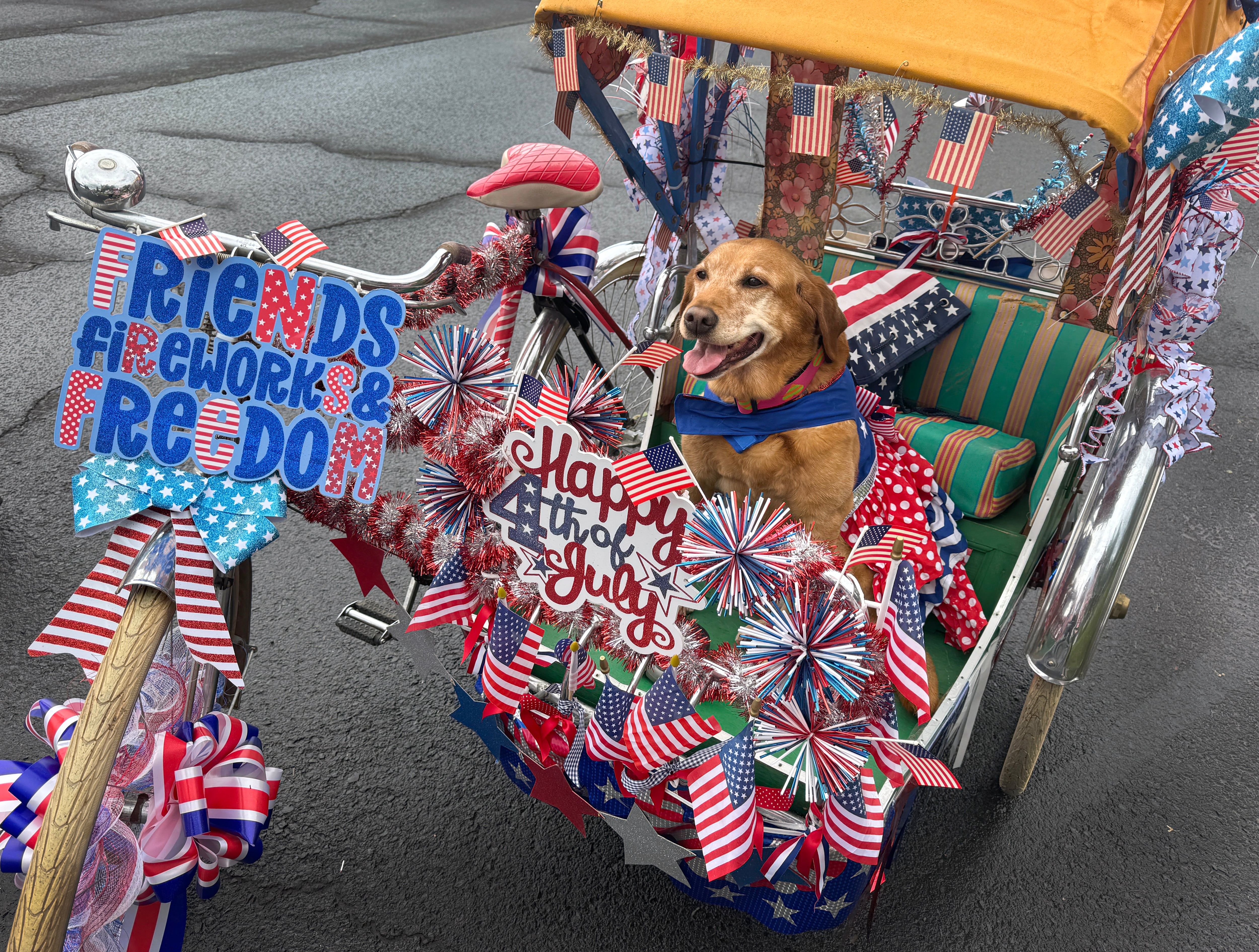 Annie the dog sits in a bicycle side car adorned in Fourth of July Flair. She smiles, ready for the pet parade to begin in Bend on July 4, 2025.