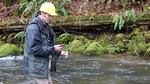 ODFW biologist Shaun Clements counts down the seconds before emptying a vial of synthetic DNA into a stream near Alsea, Oregon.