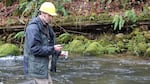 ODFW biologist Shaun Clements counts down the seconds before emptying a vial of synthetic DNA into a stream near Alsea, Oregon.