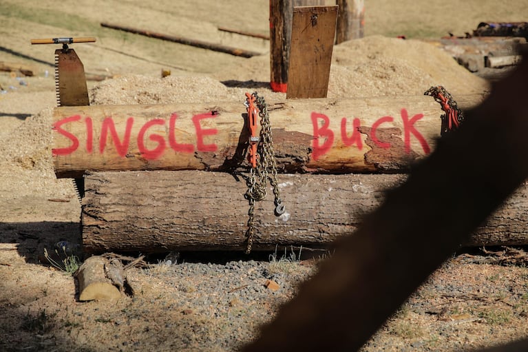 A stack of logs remain beside a saw after the logging events were finished for the day.