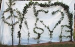 A Richard Reames arborsculpture depicts a peace sign and the word love spelled out with seven slender apple trees. The v in love is shaped like a heart.