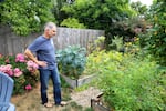 Conservationist Joe Liebezeit in his garden in Portland, Ore., Aug. 29, 2023. Liebezeit says Vaux's swifts are arriving in town earlier than usual. 