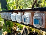 A row of ten, tiny, hand-crank music boxes line the fence outside a home along NE 41st Ave in Portland, Ore on July 11, 2025. They play everything from classical tunes like Beethoven's Fuer Elise to The Imperial March from Star Wars.