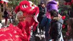 Visitors enjoy the tradition of the lion dancers, performing during the Chinese New Year.
