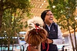 Captain Jack the Alpaca is brown and white and fluffy. A man who looks like he is laughing is hugging him.