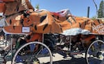 A tiger themed kinetic sculpture race vehicle is pedaled by four team members during The Graand Kinetic Challenge in Corvallis, July 18, 2026.