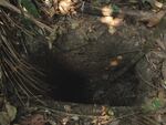 This is one of the holes the man dug inside of his huts. The trenches he would dig for hunting and protection earned him the nickname "Man of the Hole."