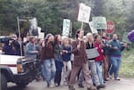 Activists march in protest of the "salvage logging rider" that was passed by Congress and signed into law by President Clinton in 1995. It released timber sales for logging and helped undermine Clinton's Northwest Forest Plan.