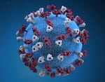 This illustration provides a 3D graphic representation of a spherical measles virus particle that is studded with glycoprotein tubercles. Those tubercular studs, colorized maroon, are known as H-proteins (hemagglutinin), while those colorized gray represent what are referred to as F-proteins (fusion). The F-protein is responsible for fusion of the virus and host cell membranes, viral penetration and hemolysis. The H-protein is responsible for the binding of virions to cells. Both types of proteinaceous studs are embedded in the particle envelope’s lipid bilayer.