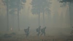 Three firefighters in yellow uniforms and blue helmets respond to a smoky forest fire.