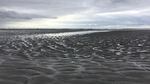 Early summer morning near the ocean in Long Beach, Washington.