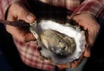 FILE-Oysters harvested from Puget Sound in December are being recalled by the U.S. Food and Drug Administration due to a possible norovirus contamination. 