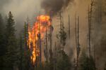 The Wolverine Wildfire burns near the Holden Village, Washington. President Barack Obama declared a state of emergency in Washington as dry, hot weather conditions caused fires to spread early Thursday.