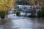 Homes take on water at the Carver Mobile Home Ranch park in Damascus, Ore., on Friday, Dec. 19, 2025.