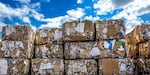 Bales of packed cardboard are readied to be recycled.