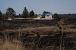 Charred vegetation surrounds a home in the unincorporated community of Friend, Ore., Aug. 13, 2026. 