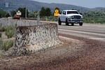 FILE - Mormon crickets make their way over a Jersey barrier during the migration of Mormon crickets Saturday, June 17, 2023, in Spring Creek, Nev.