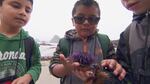 Boys find an urchin during Tillamook schools' second grade day at the bay.