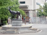 Protesters have covered statues in anti-police graffiti in downtown Portland.