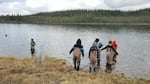 Students releasing salmon into the lake on the Salmon Field Trip.