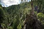 On a second scouting trip, the team, including OPB videographer Michael Bendixen, right, explored a “top-side” route to the terminal waterfall at the top of the Valhalla canyon.