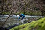 Research fish biologist Brooke Penaluna collects water samples from the Santiam River's south fork east of Cascadia, Ore., Wednesday, March 10, 2021.
