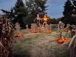 Pictured are dried stalks of corn scattered across the grass, several pumpkins are stacked upon the base. In the center is two large stacks of hay, along with two large skeletons overlook the grass.