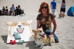 Linda Kay poses with her corgi Wallace next to a corgi-themed cornhole board while wearing a shirt with a corgi printed on it at the 2016 Oregon Corgi Beach Day in Cannon Beach.