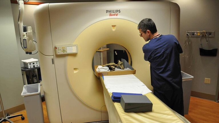 The fossil was scanned to build an image for the 3D printer. 
