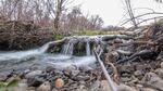 Until the Confederated Tribes of the Umatilla Indian Reservation bought this land near Pendleton, the river flowed faster and more directly. Beavers helped create side channels that slowed the water and turned it into the biggest wetland in the Umatilla Basin. 