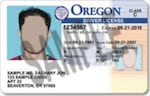 A sample image of an Oregon Driver's License.