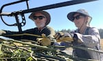 Landowners Greg Conaway and Cory Ross load willow stakes into a pickup truck.