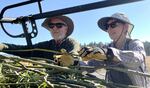 Landowners Greg Conaway and Cory Ross load willow stakes into a pickup truck.